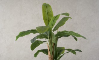 Декоративное искусственное дерево Banana Tree, выс. 205 см