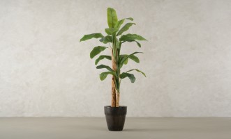 Декоративное искусственное дерево Banana Tree, выс. 205 см