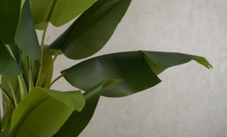 Декоративное искусственное дерево Banana Tree, выс. 220 см