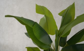 Декоративное искусственное дерево Banana Tree, выс. 220 см