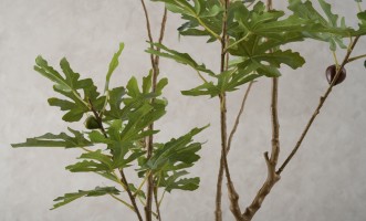 Декоративное искусственное дерево Fig Tree, выс. 180 см