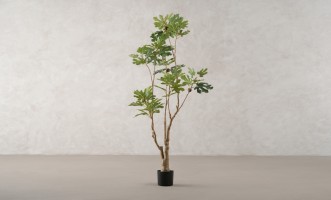 Декоративное искусственное дерево Fig Tree, выс. 180 см