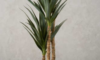 Декоративное искусственное дерево Yucca, выс. 180 см