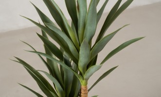 Декоративное искусственное дерево Yucca, выс. 180 см