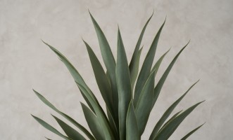Декоративное искусственное дерево Yucca, выс. 180 см