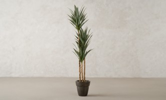 Декоративное искусственное дерево Yucca, выс. 180 см