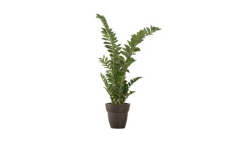 Декоративное искусственное дерево Zamioculcas, выс. 130 см