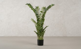 Декоративное искусственное дерево Zamioculcas, выс. 130 см