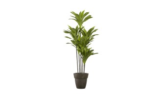 Декоративное искусственное дерево Dracaena, выс. 150 см