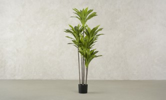 Декоративное искусственное дерево Dracaena, выс. 150 см