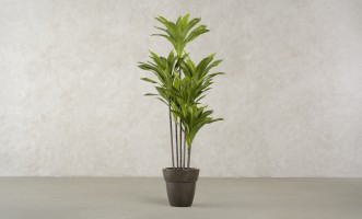 Декоративное искусственное дерево Dracaena, выс. 150 см