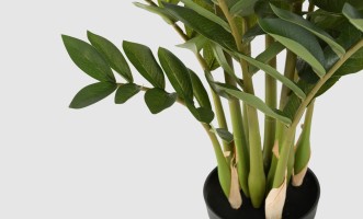 Декоративное искусственное дерево Zamioculcas, выс. 90 см