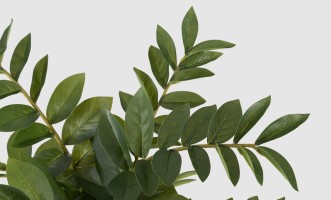 Декоративное искусственное дерево Zamioculcas, выс. 90 см