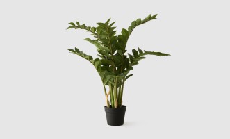 Декоративное искусственное дерево Zamioculcas, выс. 90 см
