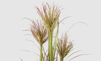 Декоративное искусственное растение Onion Grass, выс. 64 см