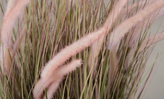 Декоративное искусственное растение Onion Grass, выс. 97 см