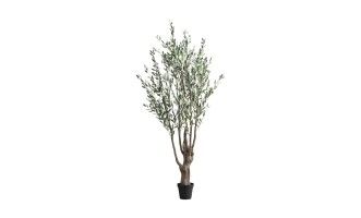 Декоративное искусственное дерево Olive Tree, 250 см