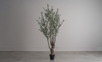 Декоративное искусственное дерево Olive Tree, 250 см