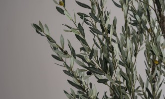 Декоративное искусственное дерево Olive Tree, 250 см