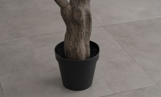 Декоративное искусственное дерево Olive Tree, 250 см