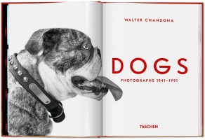 Walter Chandoha. Dogs. Photographs 1941–1991