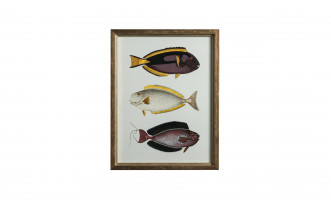 Постер The Fishes Collection, набор 4 шт