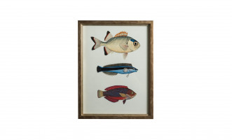 Постер The Fishes Collection, набор 4 шт
