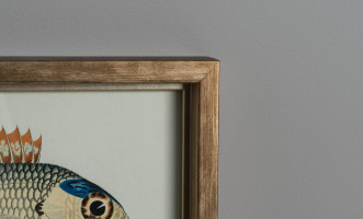 Постер The Fishes Collection, набор 4 шт