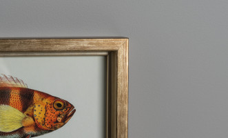 Постер The Fishes Collection, набор 4 шт