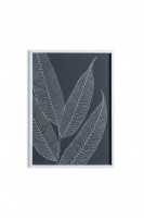 Постер Ferns II