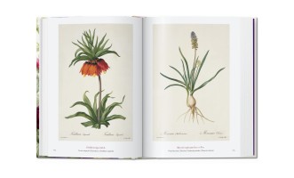 Книга «Книга цветов»/Book of Flowers