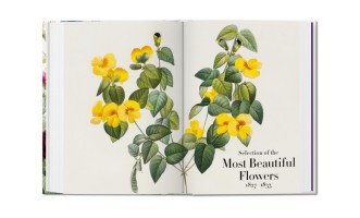 Книга «Книга цветов»/Book of Flowers