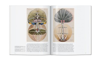 Книга «Хильма аф Клинт»/Hilma af Klint