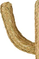 Декоративный Кактус малый