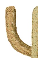 Декоративный Кактус средний