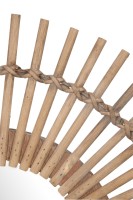 Декоративный Кактус средний