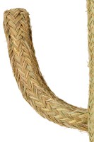 Декоративный Кактус большой