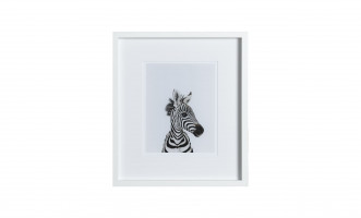 Постеры Animal Prints III (набор 6 шт)