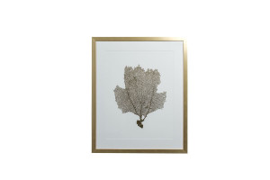 Постер Gold Foil Sea Fan II