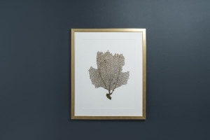 Постер Gold Foil Sea Fan II