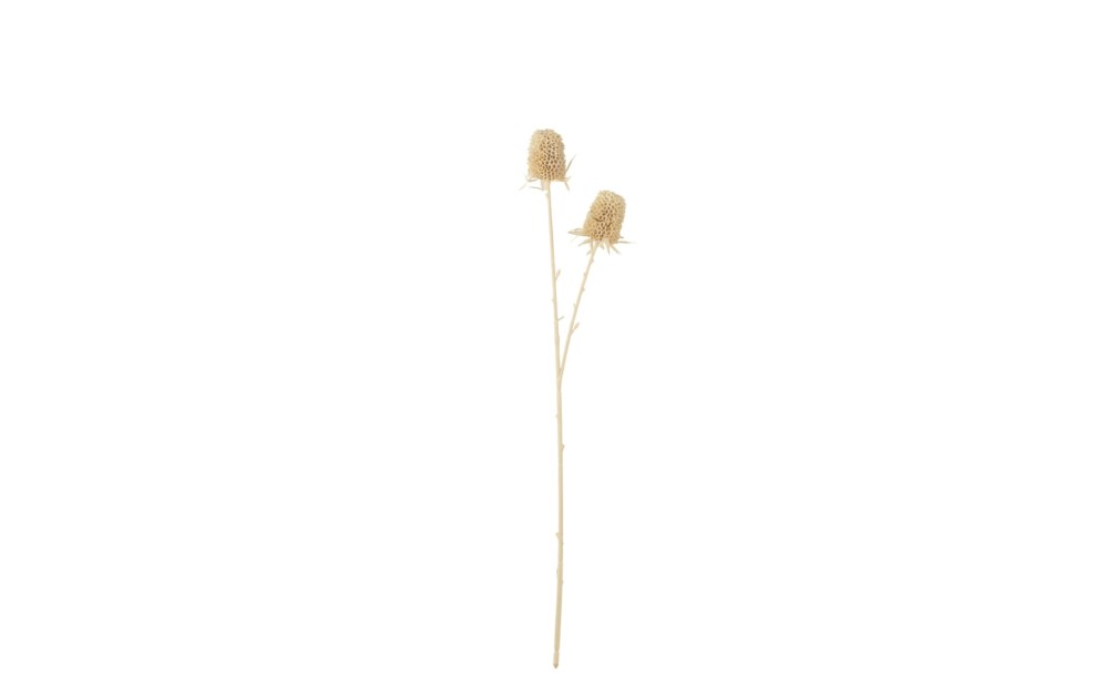 Декоративная ветвь Marigold Cream