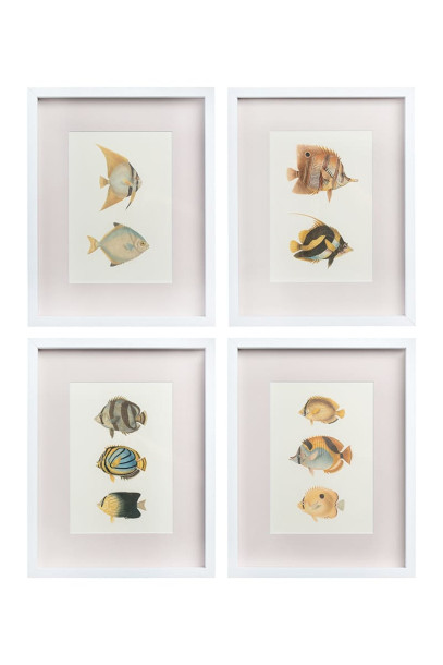 Постеры Tropical Fishes сет из 4 шт