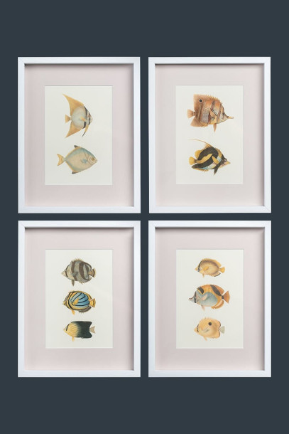Постеры Tropical Fishes сет из 4 шт