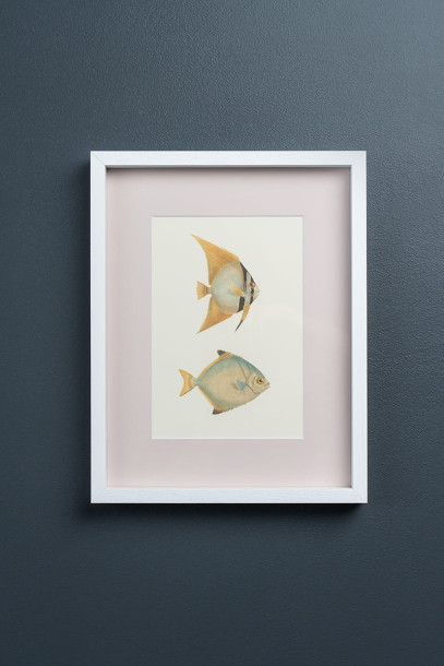 Постеры Tropical Fishes сет из 4 шт