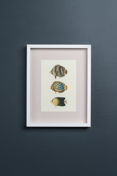 Постеры Tropical Fishes сет из 4 шт
