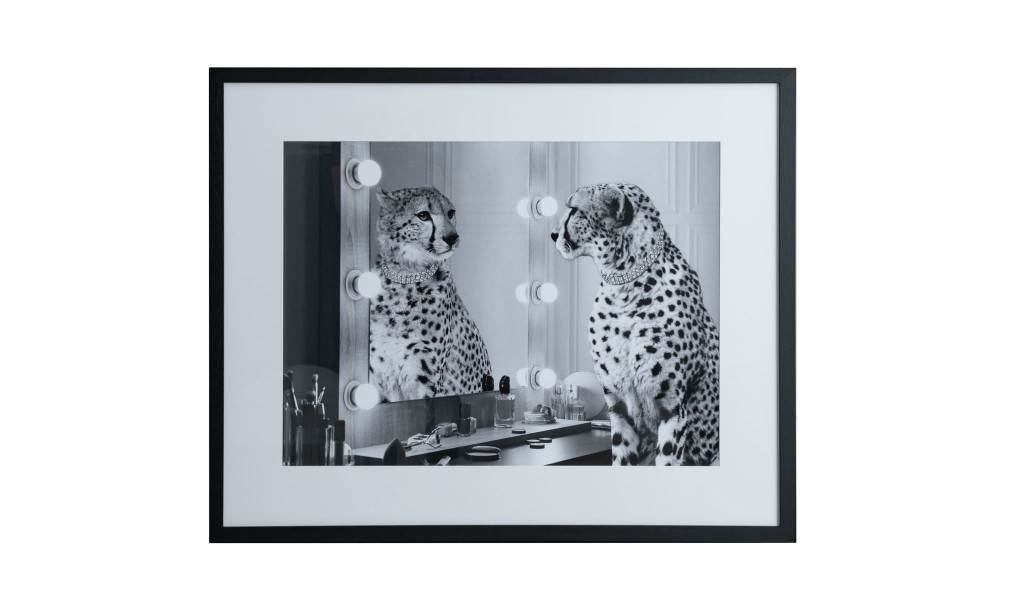Постер Cheetah Wild Beauty