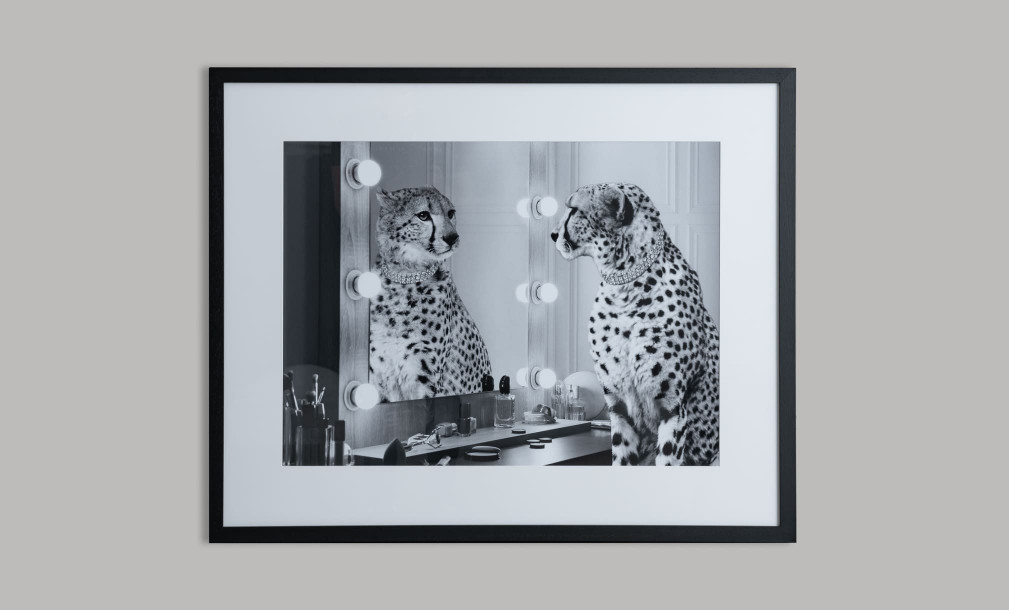 Постер Cheetah Wild Beauty
