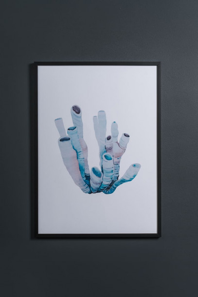 Постер Sea coral
