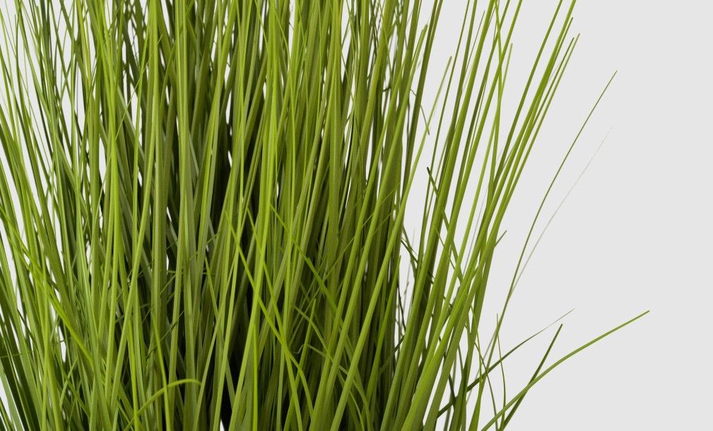 Декоративное искусственное растение Onion Grass Green, выс. 70 см
