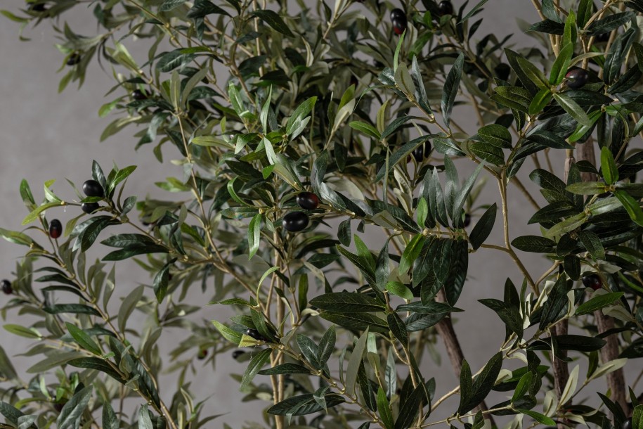 Декоративное искусственное дерево Olive Tree Olea, 260 см